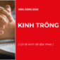 KINH TRÔNG CẬY